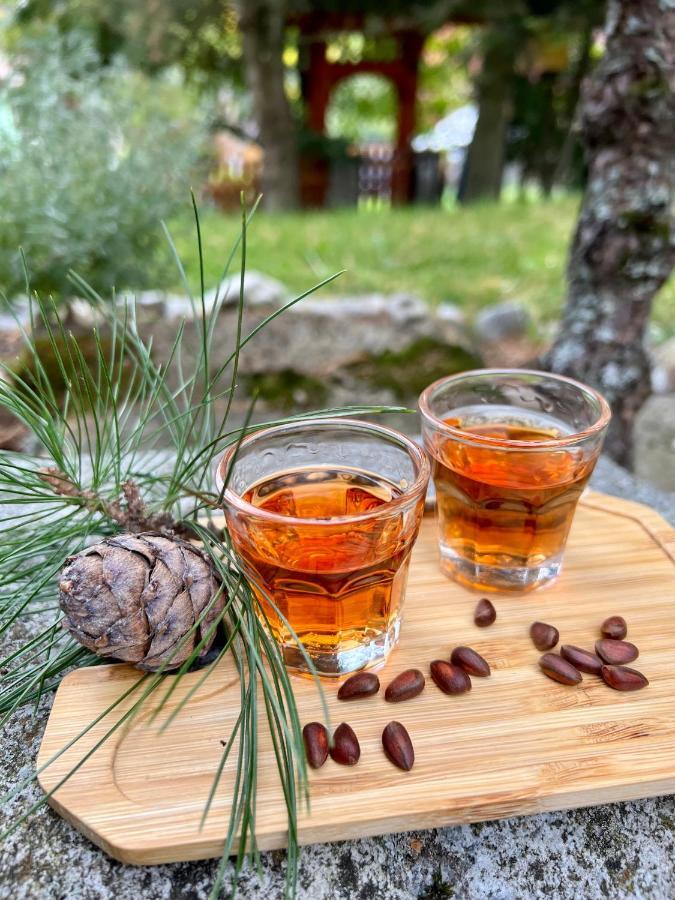 ŽdiarChalupka U Lisky Elisky别墅 外观 照片